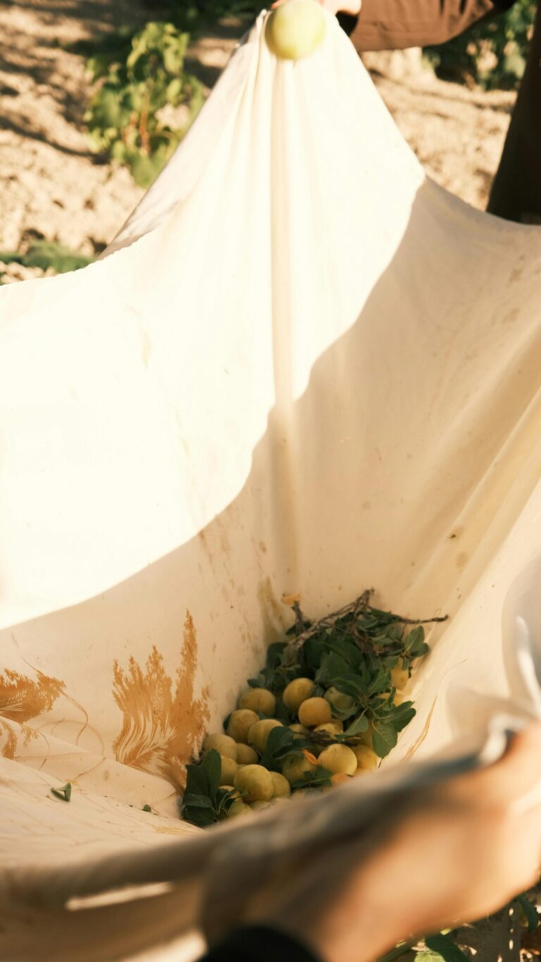 Copywriting for Green Garden Foods